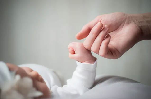 浙江大学浙江医院做试管婴儿胚胎移植费用大概是多少？