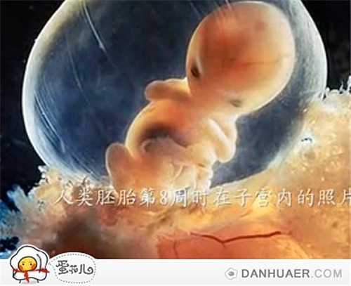 代孕安全率较高_做俄罗斯试管婴儿移植几个胚胎最合适？